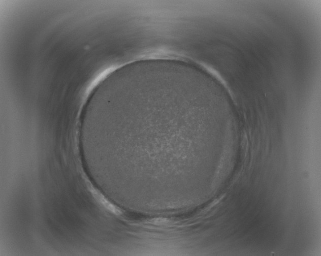 X0000082201463200702021831