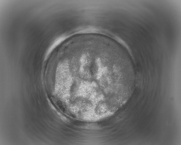 X0000082201464200702021831