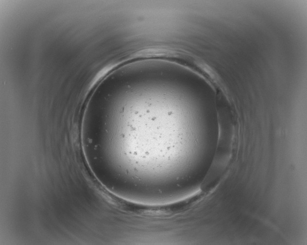 X0000082201465200702021831