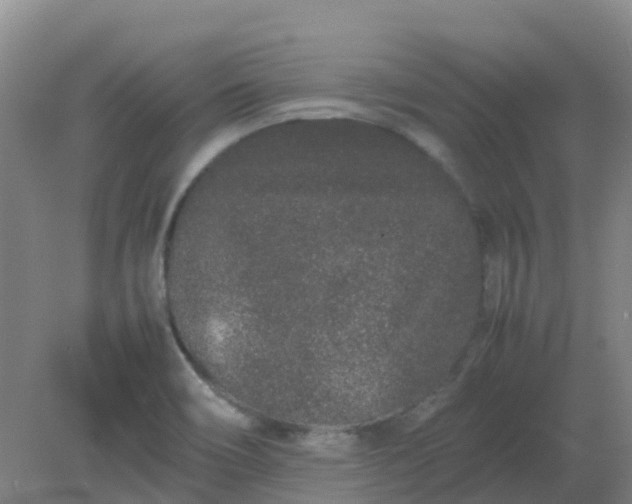 X0000082201466200702021831