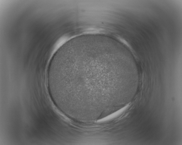 X0000082201467200702021831