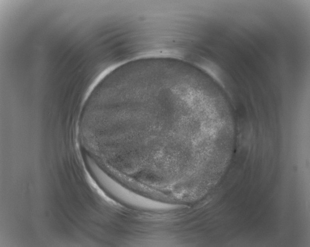 X0000082201468200702021831