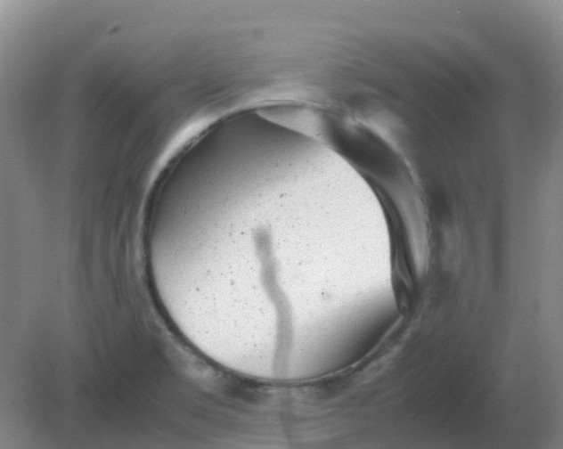 X0000082201469200702021831