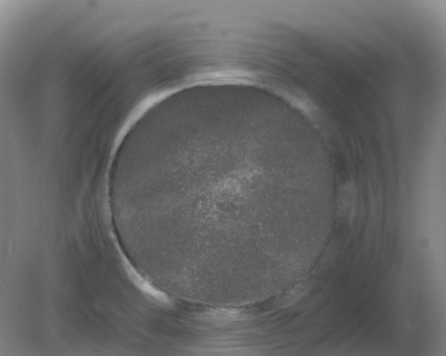 X0000082201470200702021831