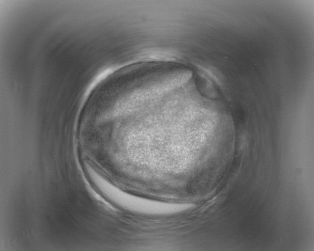 X0000082201471200702021831