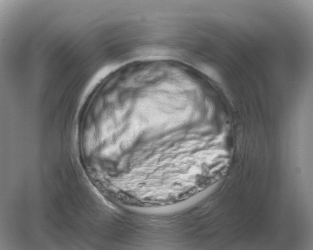 X0000082201472200702021831