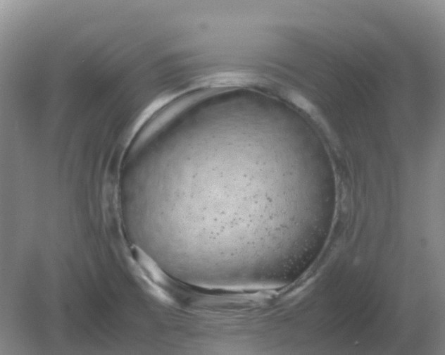 X0000082201473200702021831