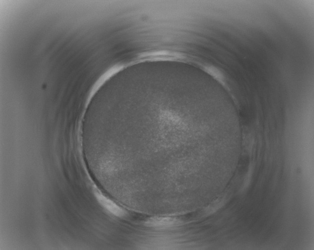 X0000082201474200702021831