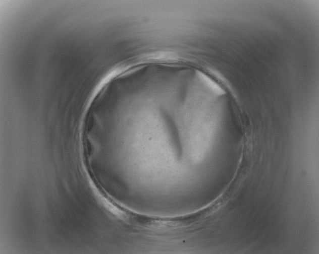 X0000082201475200702021831