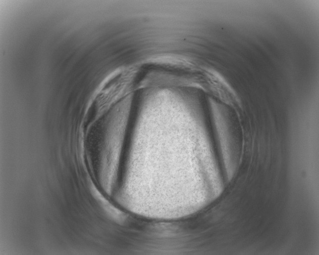 X0000082201476200702021831