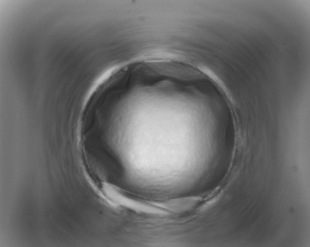 X0000082201477200702021831