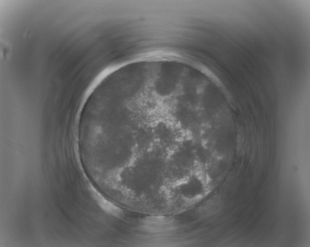 X0000082201478200702021831