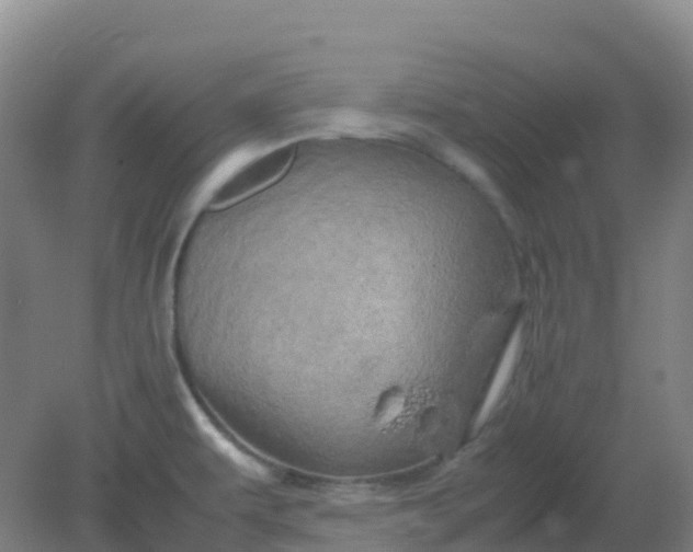 X0000082201479200702021831