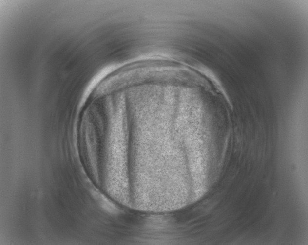 X0000082201480200702021831