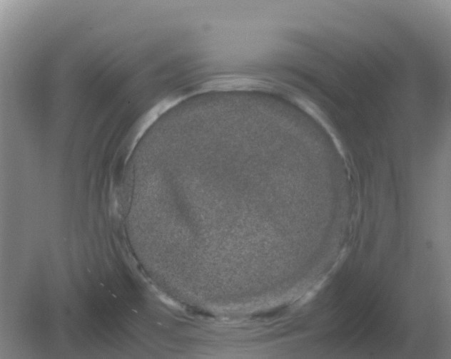 X0000082201481200702021831