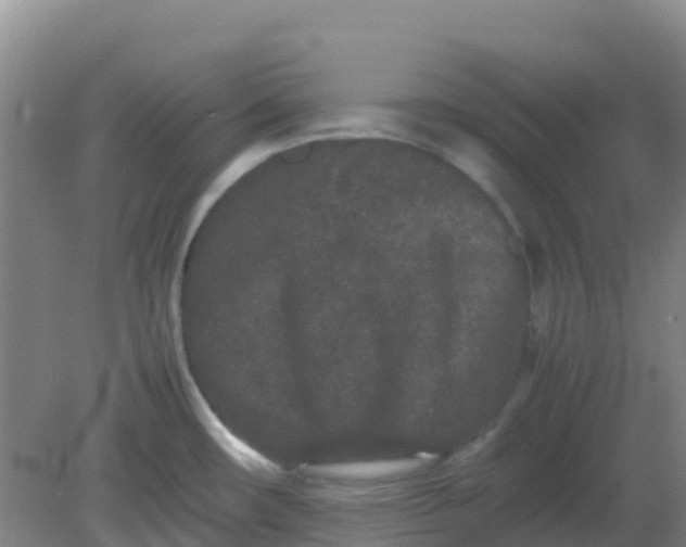 X0000082201482200702021831