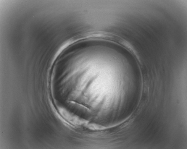 X0000082201483200702021831