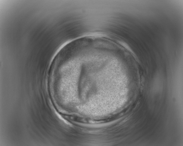 X0000082201484200702021831