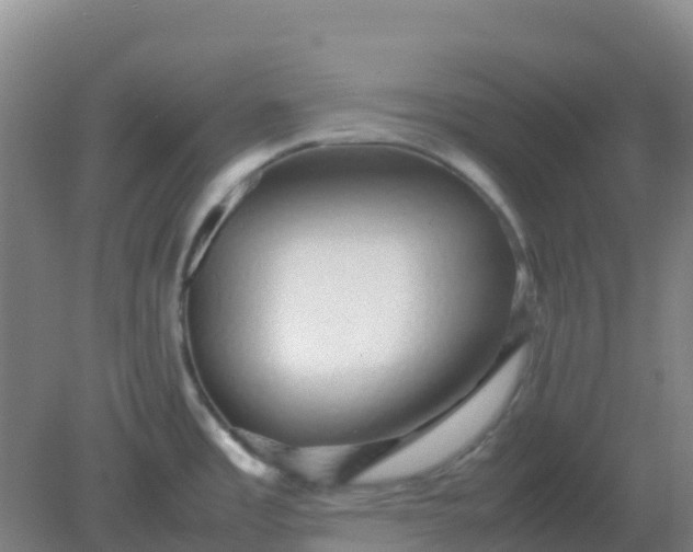 X0000082201485200702021831