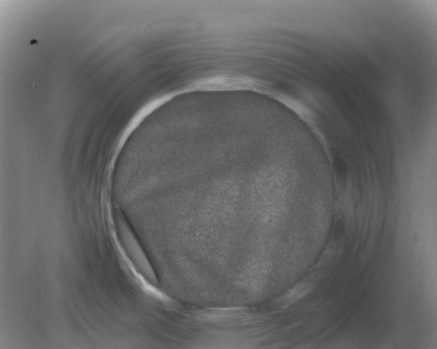 X0000082201486200702021831