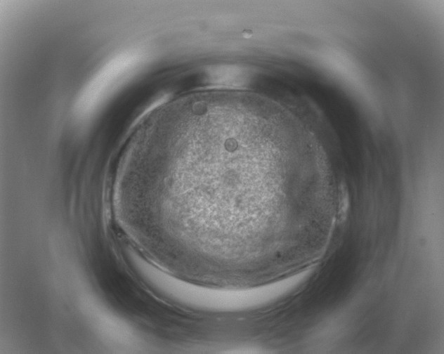 X0000082201487200702021831