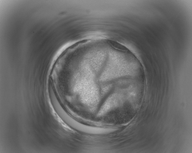 X0000082201488200702021831