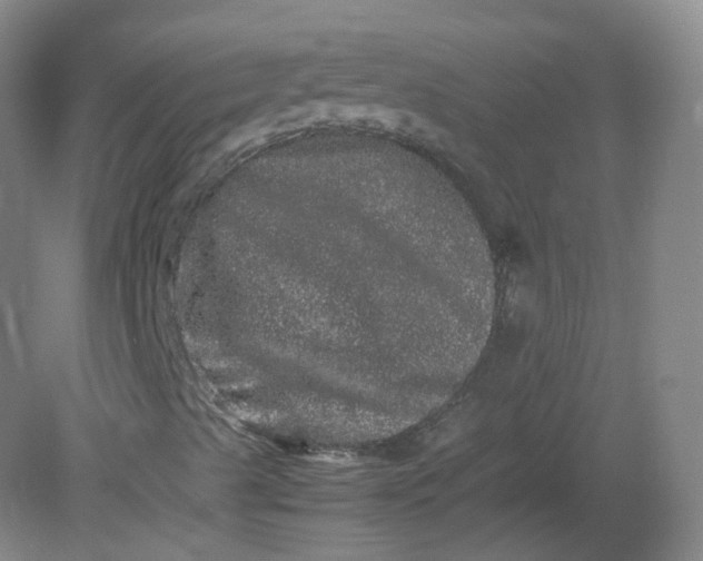 X0000082201489200702021830