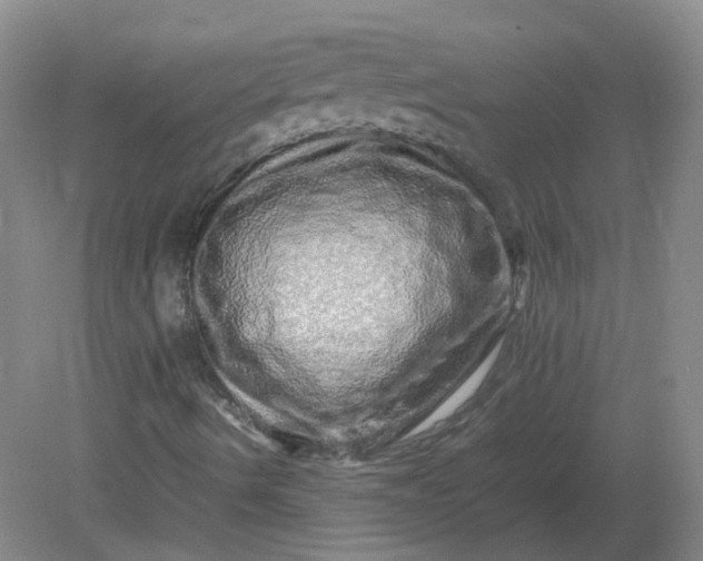 X0000082201490200702021830