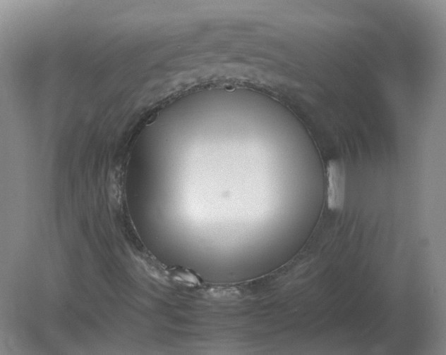 X0000082201491200702021830