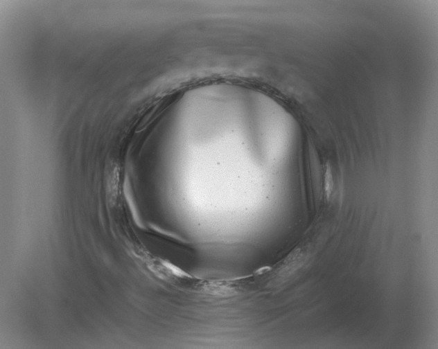 X0000082201492200702021830