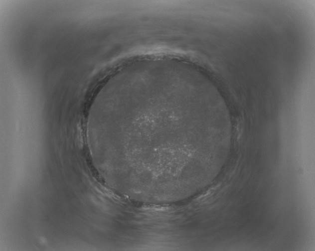 X0000082201493200702021830