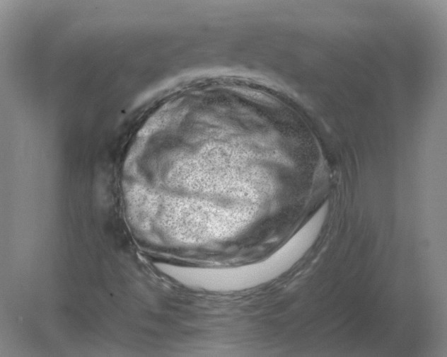 X0000082201494200702021830