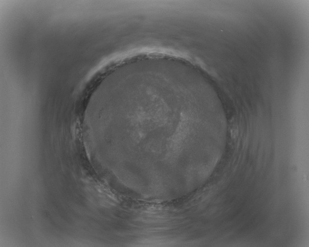 X0000082201495200702021830