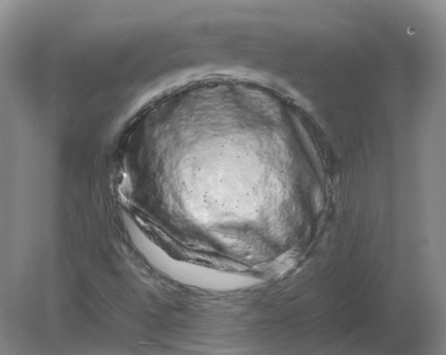 X0000082201496200702021830