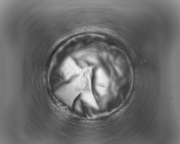 X0000082201497200702021830