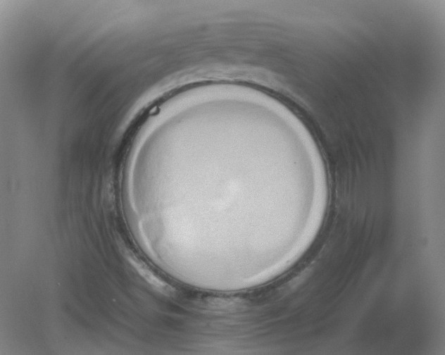 X0000082201498200702021830