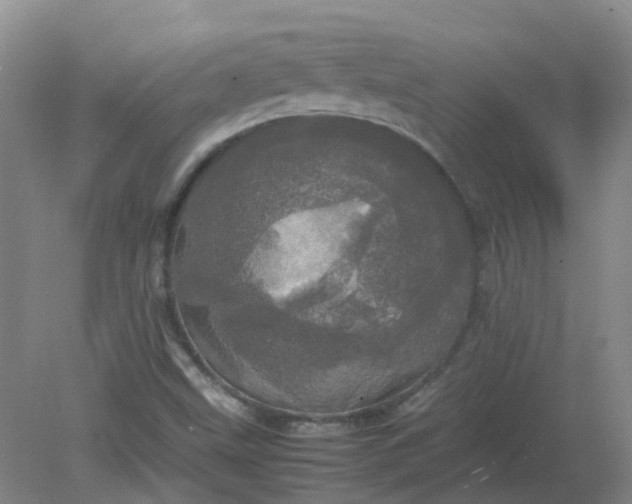 X0000082201499200702021830