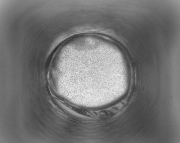 X0000082201501200702021830