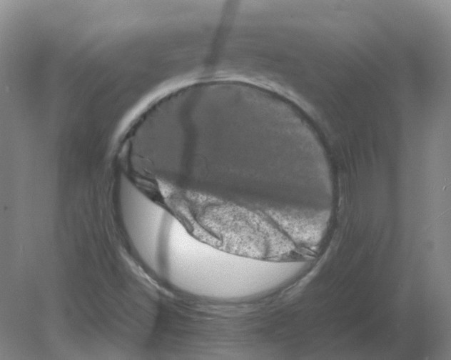 X0000082201502200702021830