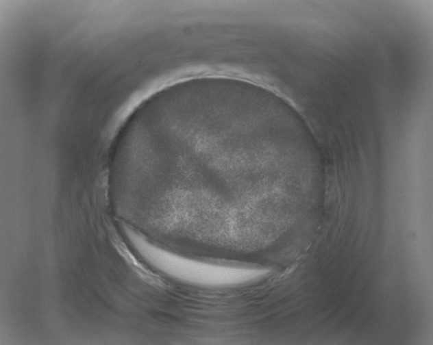 X0000082201503200702021831