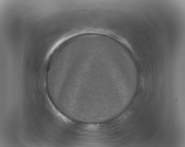 X0000082201504200702021831