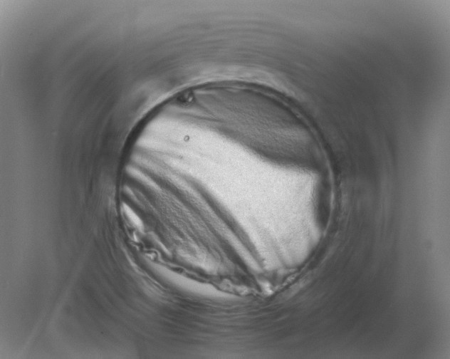 X0000082201505200702021831