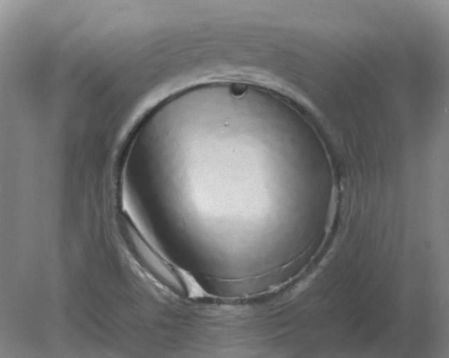 X0000082201506200702021831