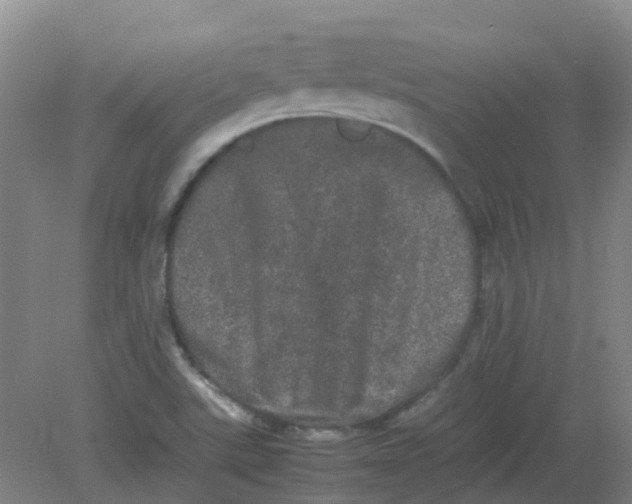 X0000082201507200702021831