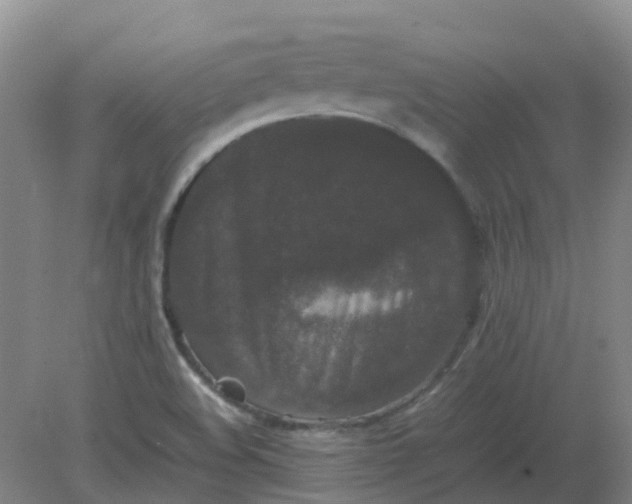 X0000082201508200702021831