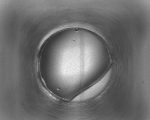 X0000082201510200702021831