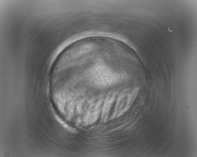 X0000082201511200702021831