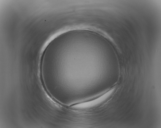 X0000082201512200702021831