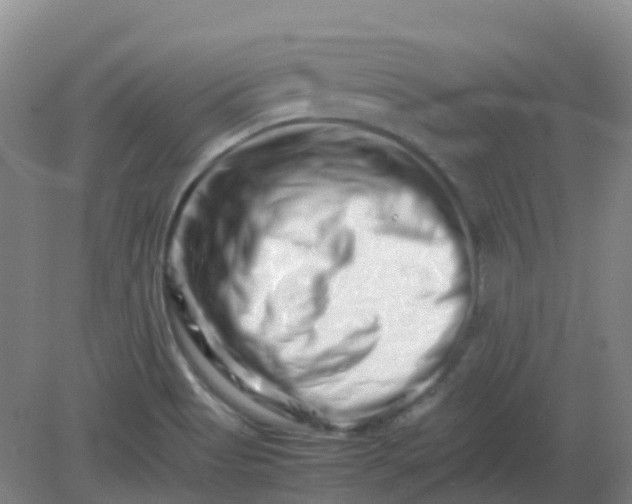 X0000082201513200702021831