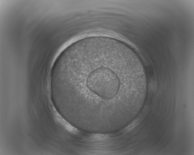 X0000082201514200702021831